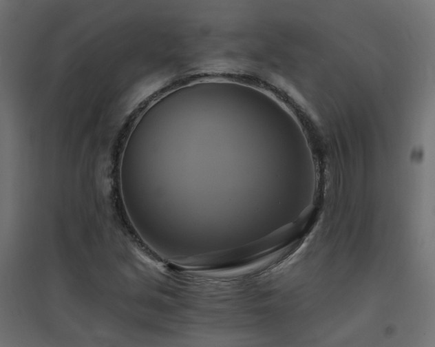 X0000094901213200711291225