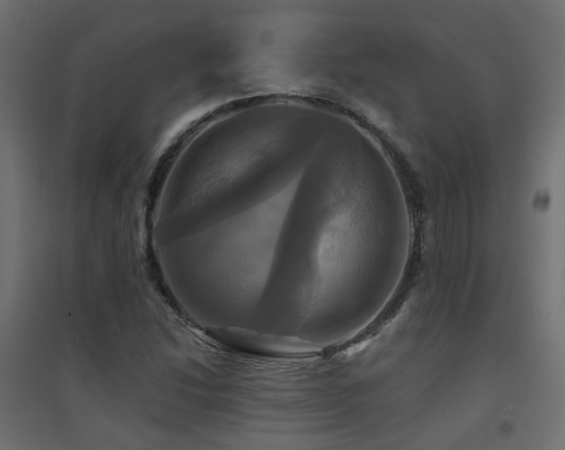 X0000094901214200711291225