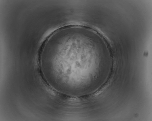 X0000094901215200711291225