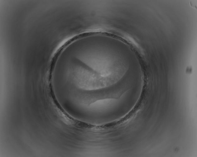X0000094901216200711291225
