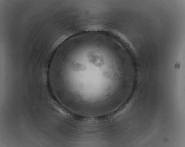 X0000094901217200711291225