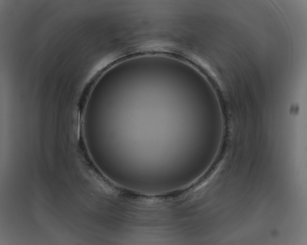X0000094901219200711291225