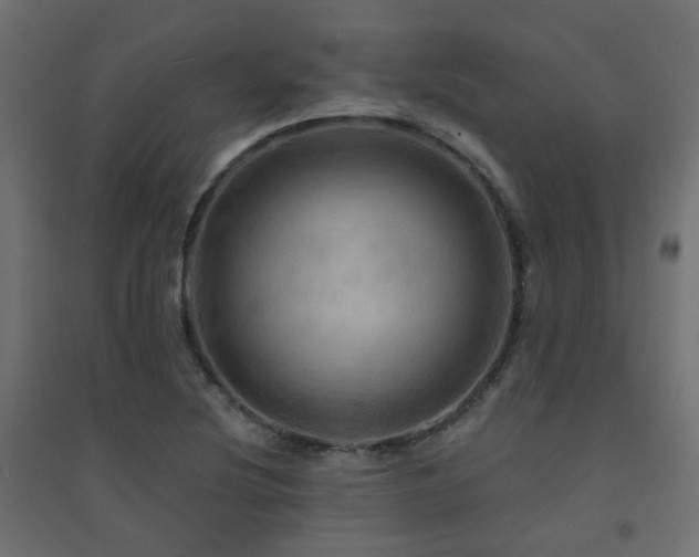X0000094901220200711291225