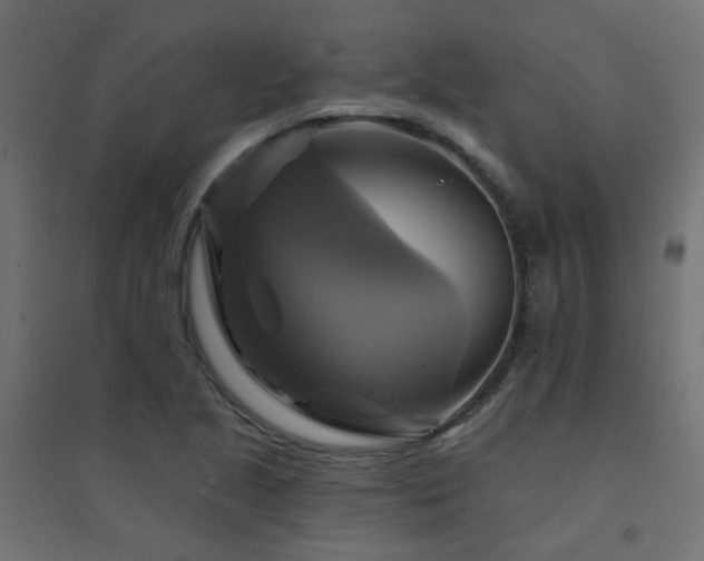 X0000094901221200711291225