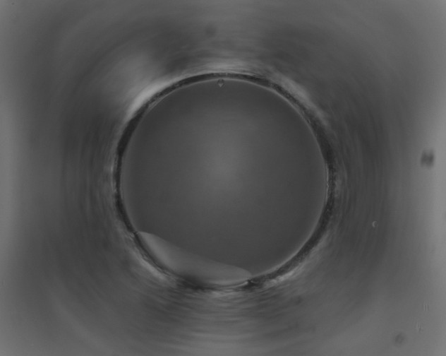 X0000094901222200711291225