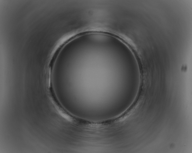 X0000094901223200711291225