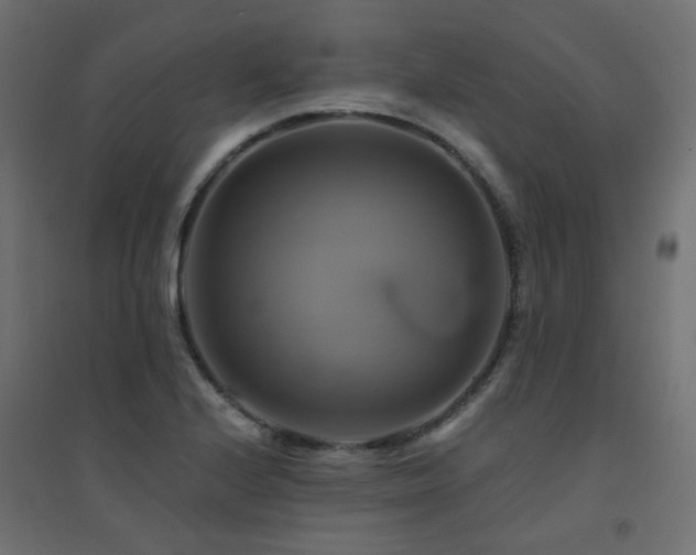 X0000094901224200711291225