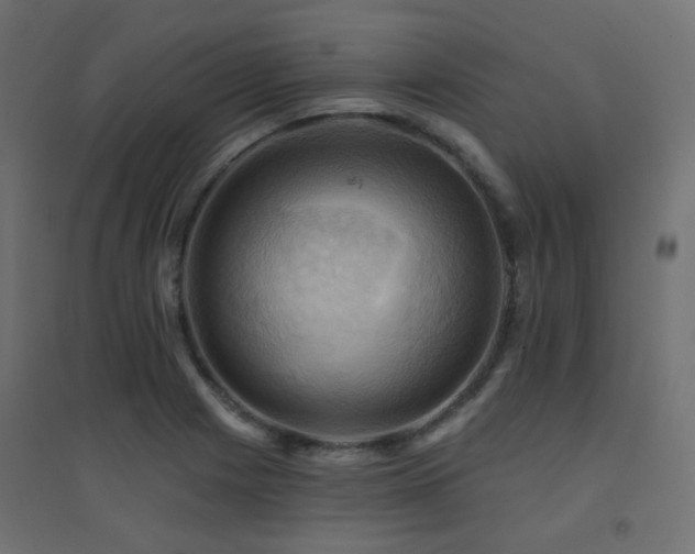X0000094901225200711291225
