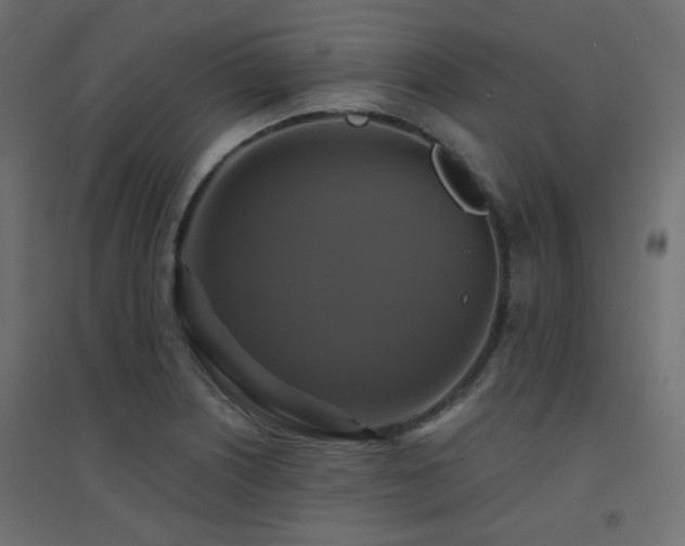 X0000094901226200711291225