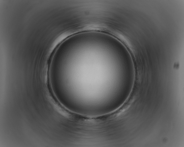 X0000094901227200711291225