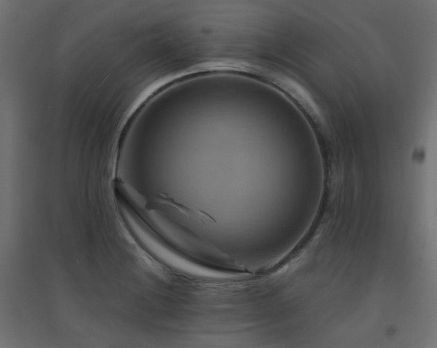 X0000094901228200711291225