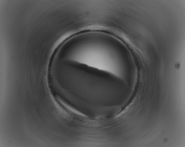 X0000094901229200711291225