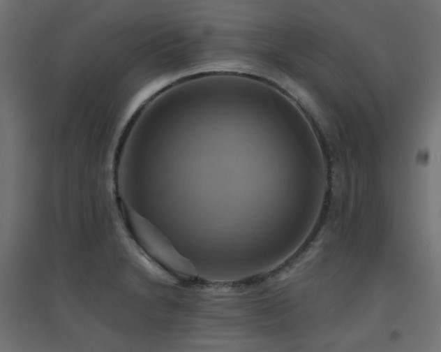 X0000094901230200711291225