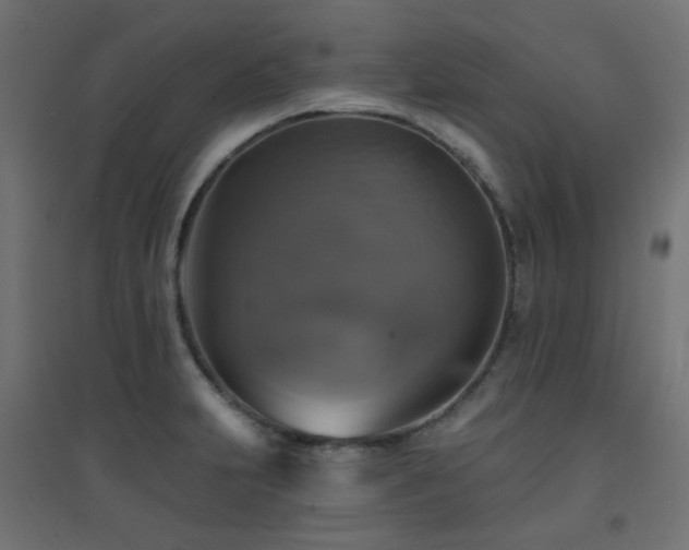 X0000094901231200711291225