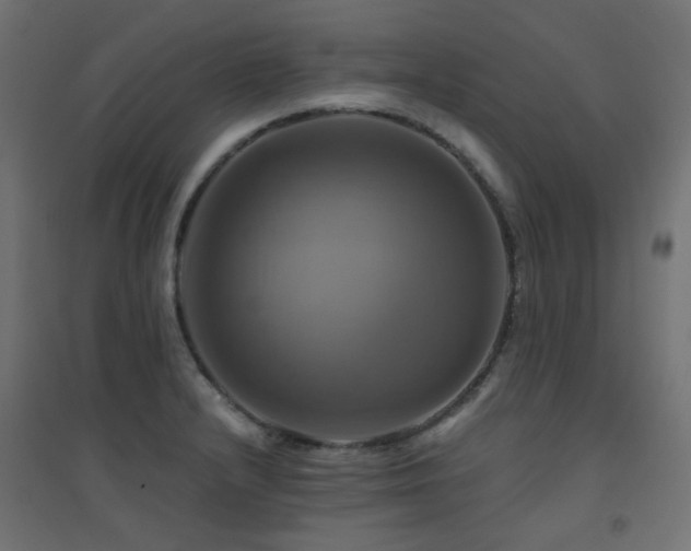 X0000094901232200711291225