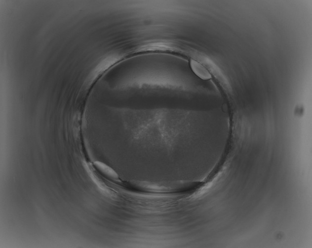 X0000094901233200711291225
