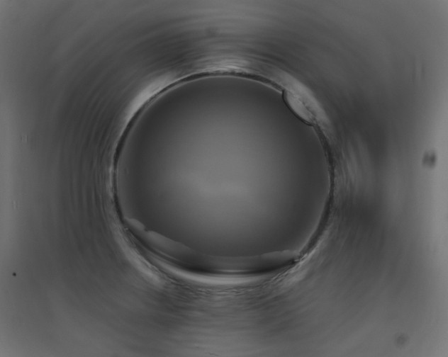 X0000094901234200711291225