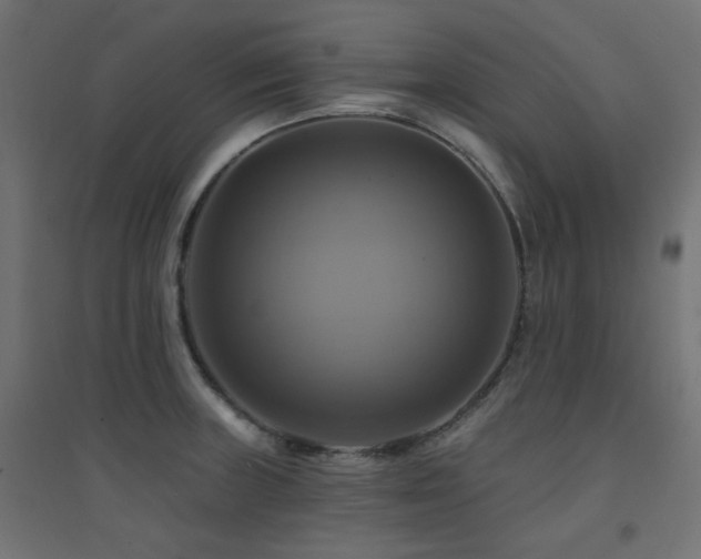 X0000094901235200711291225