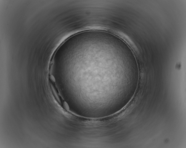 X0000094901236200711291225
