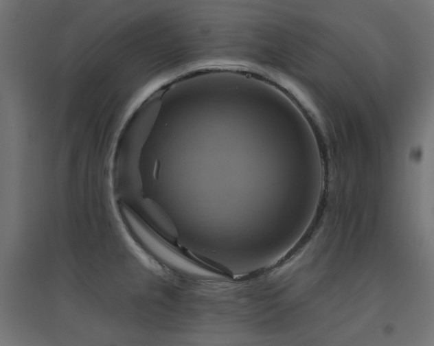 X0000094901237200711291225
