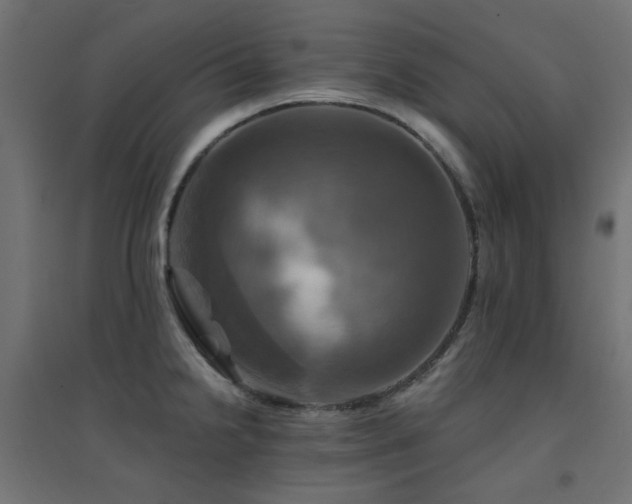 X0000094901238200711291225