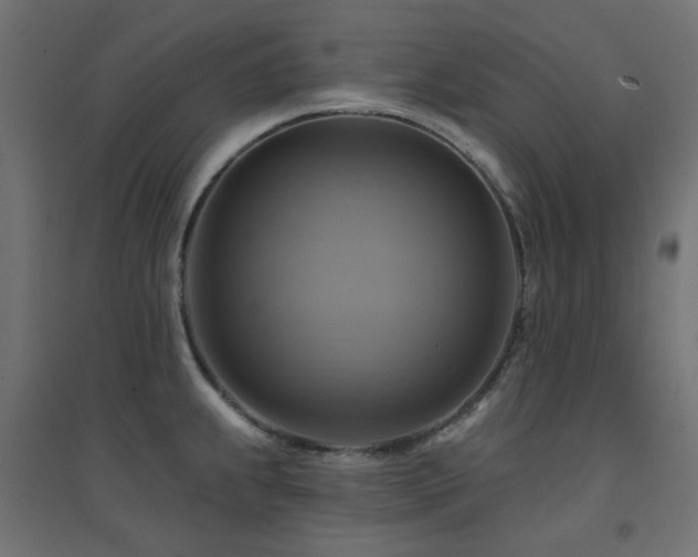 X0000094901239200711291225