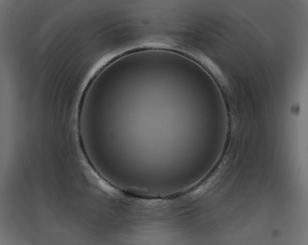 X0000094901240200711291225