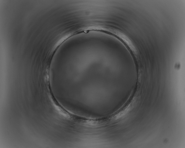 X0000094901241200711291225