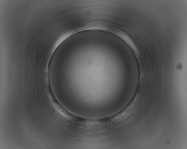 X0000094901242200711291225