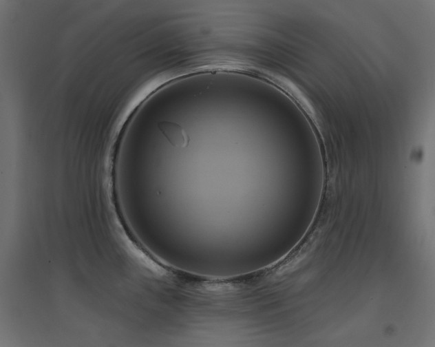 X0000094901243200711291225