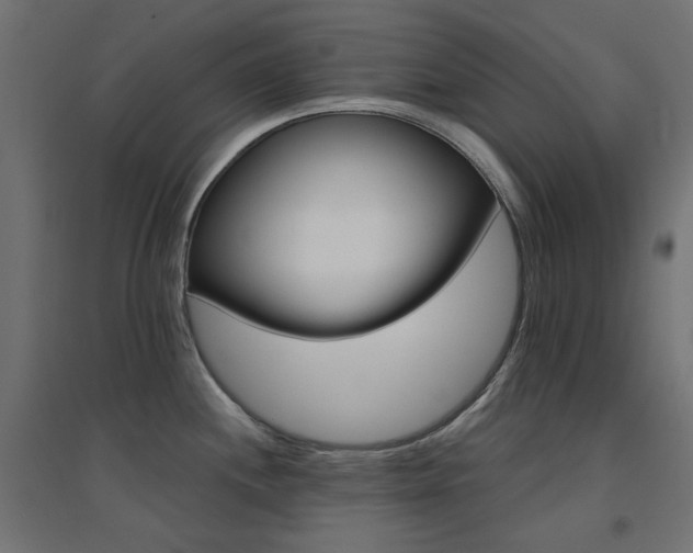 X0000094901244200711291225