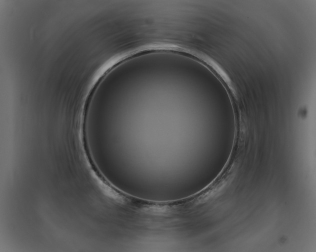 X0000094901245200711291225