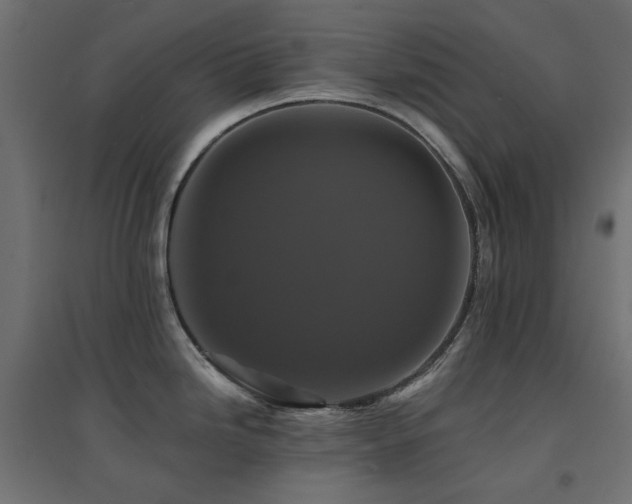 X0000094901246200711291225