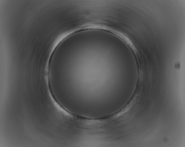 X0000094901247200711291225
