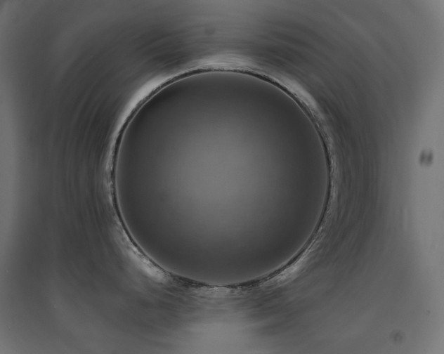 X0000094901248200711291225