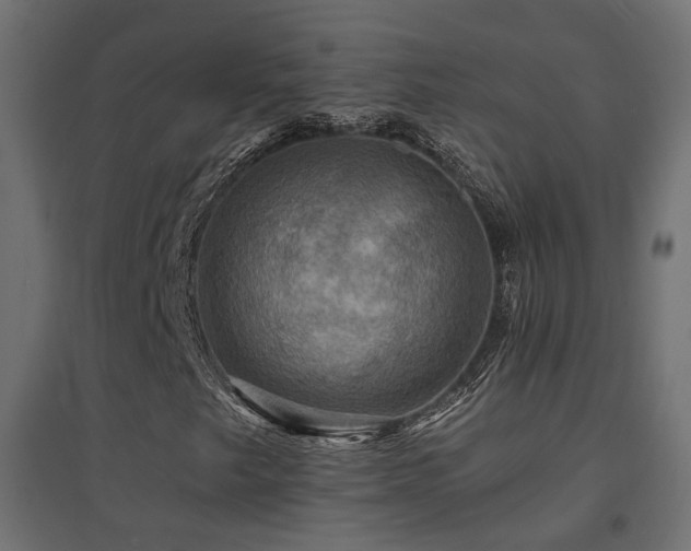 X0000094901249200711291224
