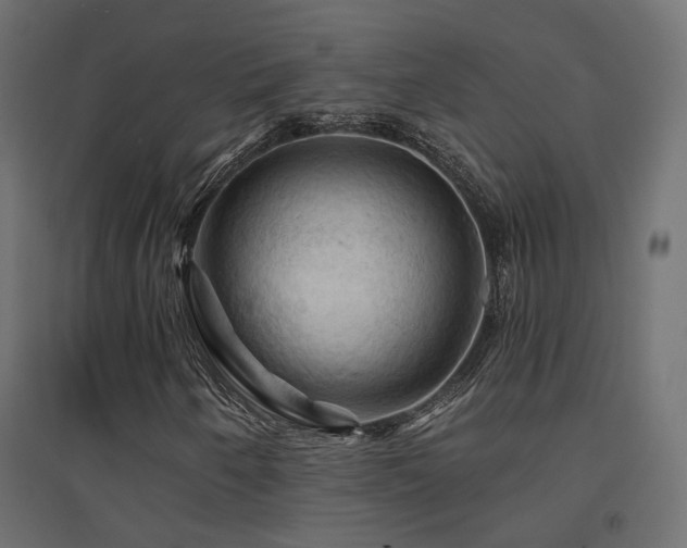 X0000094901250200711291224