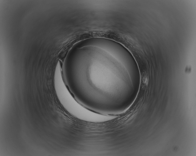 X0000094901252200711291224