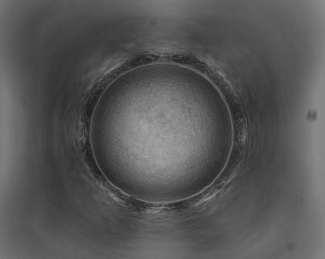 X0000094901253200711291224