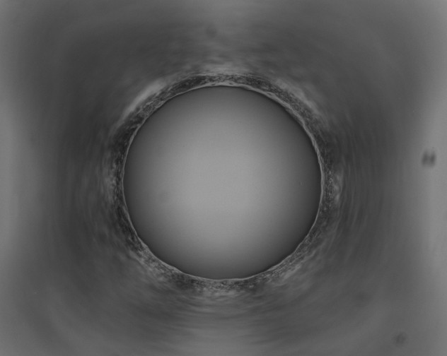 X0000094901254200711291224