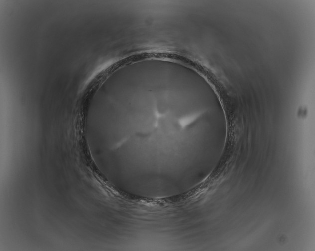 X0000094901255200711291224