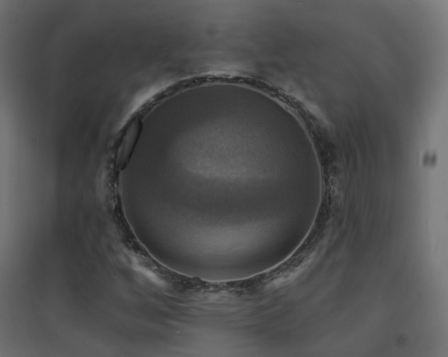 X0000094901256200711291224