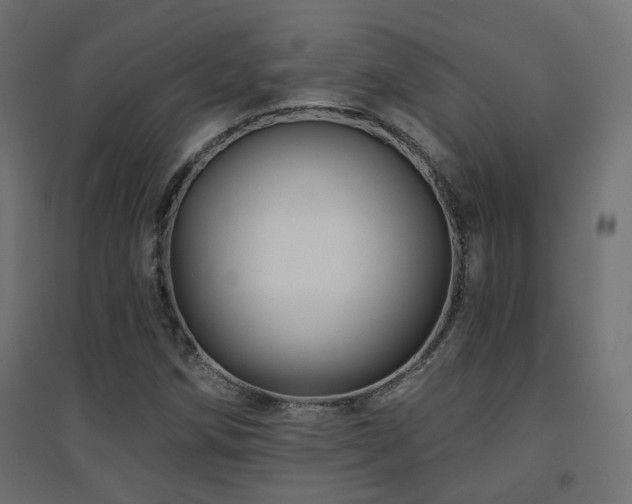X0000094901258200711291224
