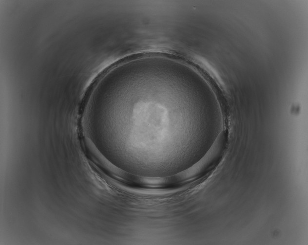 X0000094901260200711291224