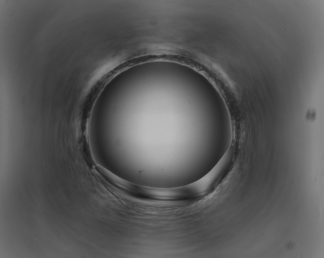X0000094901261200711291224