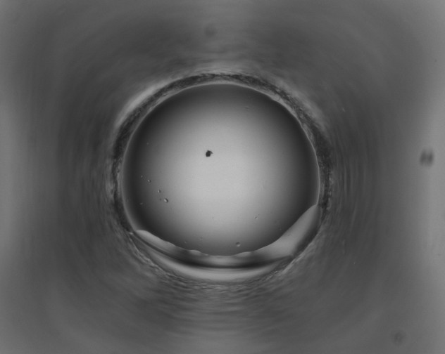 X0000094901262200711291224