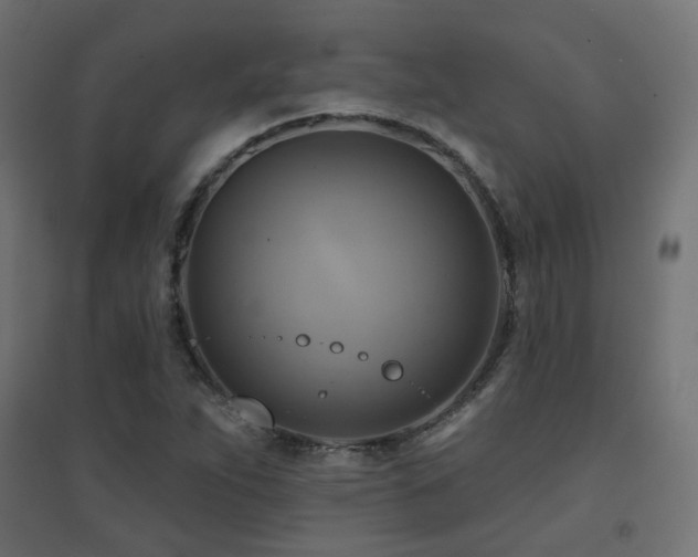 X0000094901263200711291224