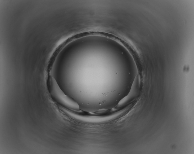 X0000094901264200711291224