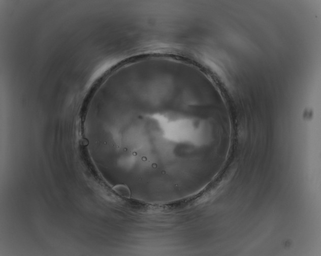 X0000094901267200711291224