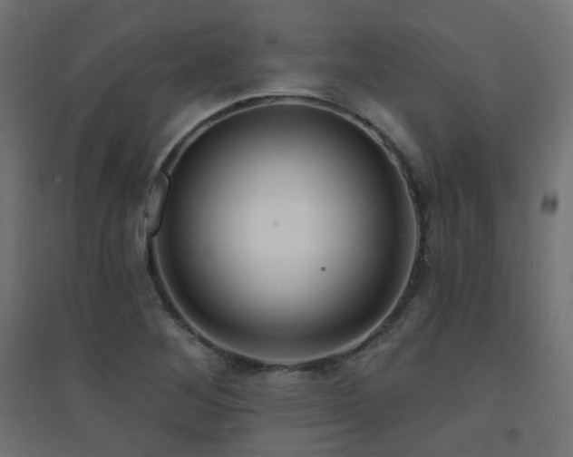 X0000094901268200711291224